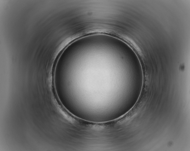 X0000101090890200807031724