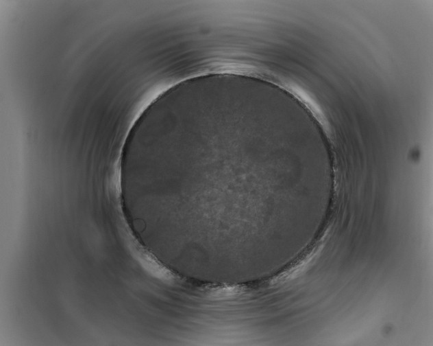 X0000101090891200807031724