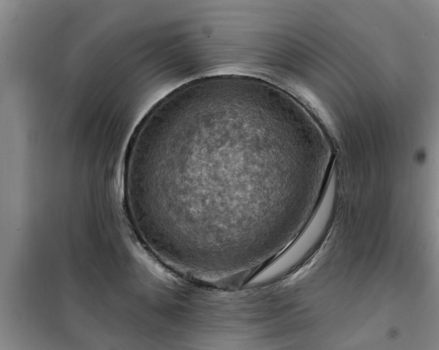 X0000101090892200807031724