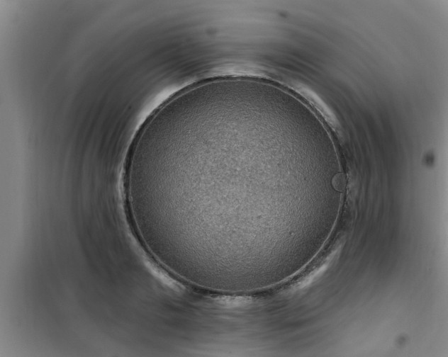 X0000101090893200807031724