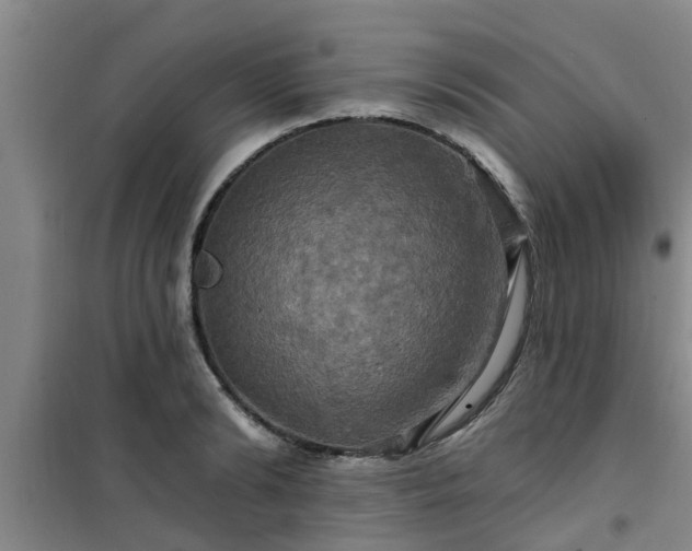 X0000101090894200807031724