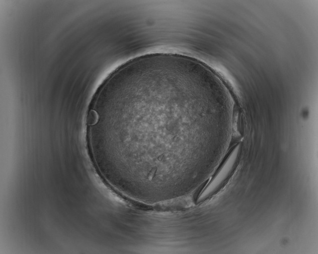 X0000101090896200807031724