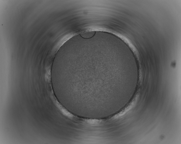 X0000101090897200807031723