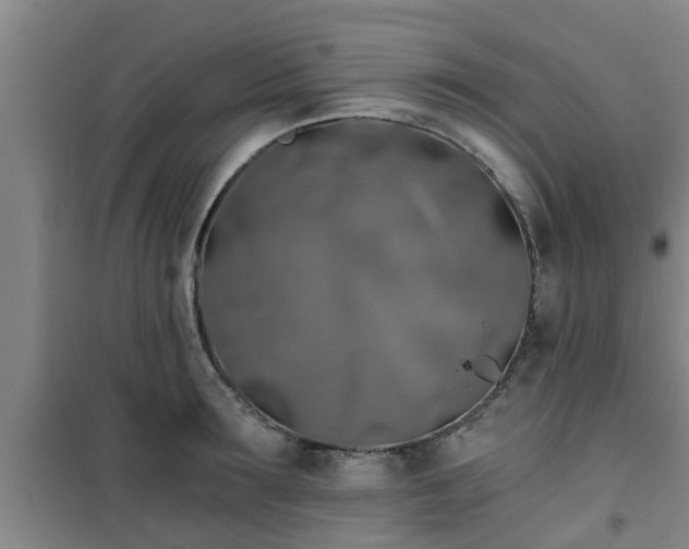 X0000101090899200807031723