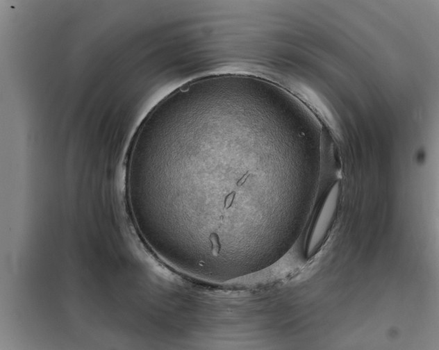 X0000101090900200807031723