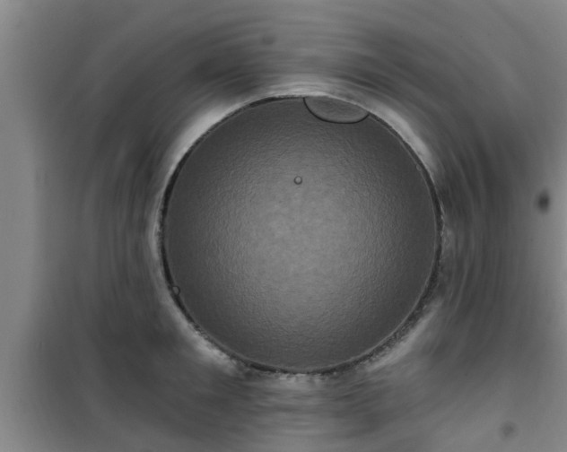 X0000101090901200807031723