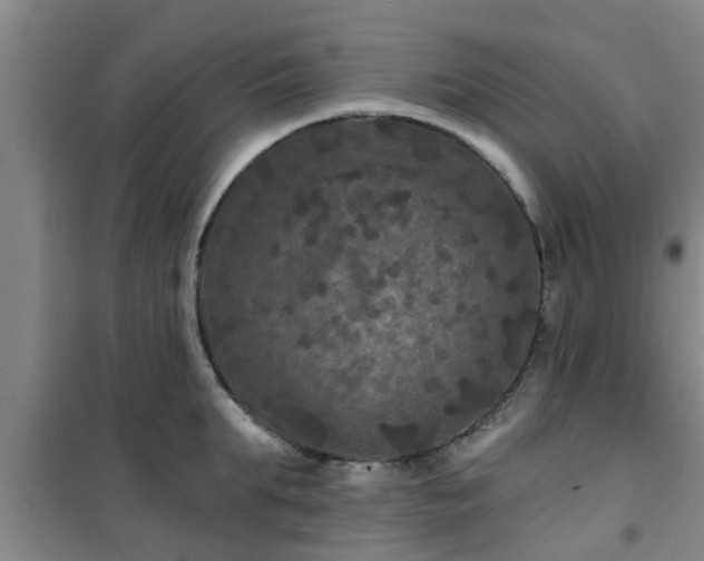 X0000101090903200807031723