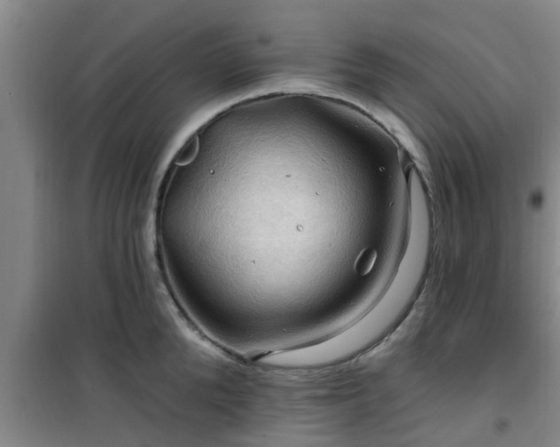 X0000101090904200807031723