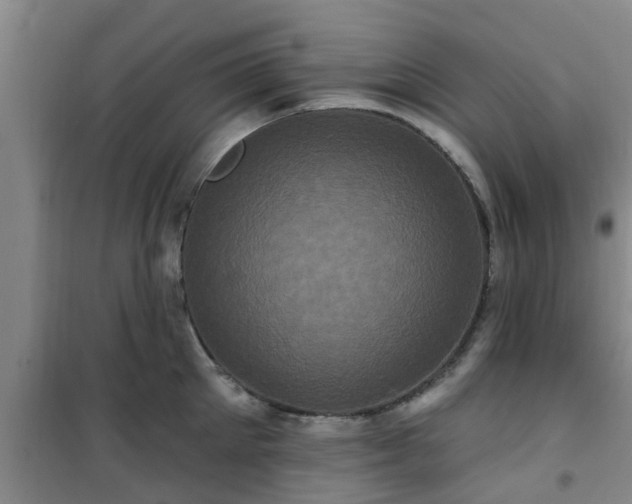 X0000101090905200807031723