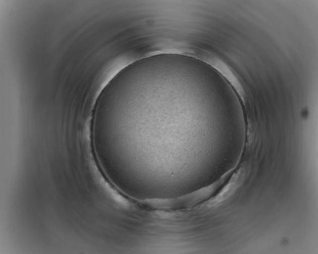 X0000101090906200807031723