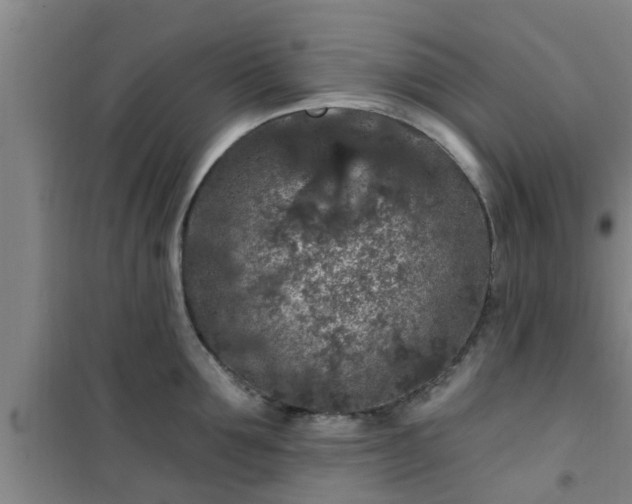 X0000101090907200807031723