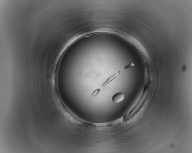 X0000101090908200807031723