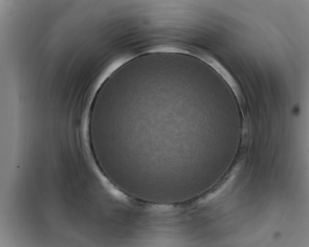 X0000101090909200807031723