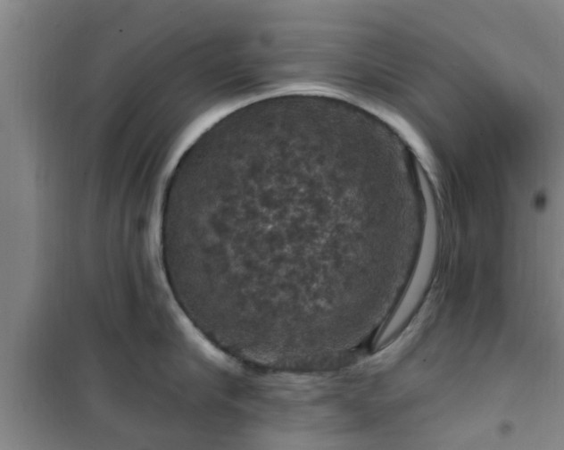 X0000101090910200807031723