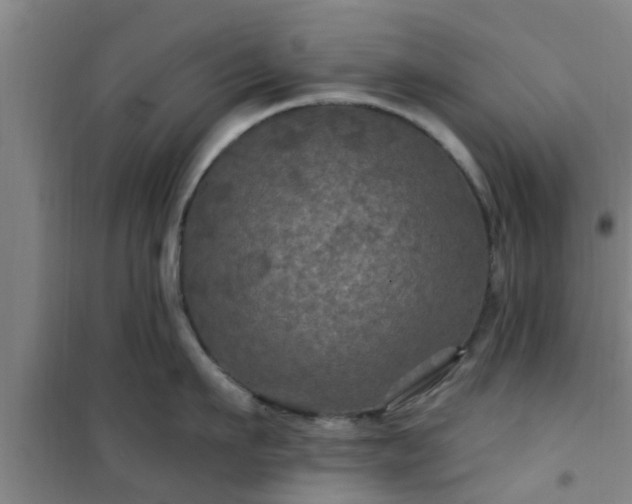 X0000101090911200807031723