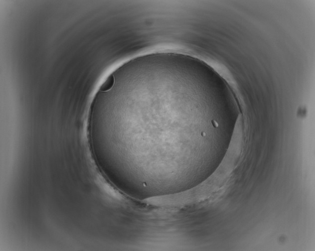 X0000101090912200807031723