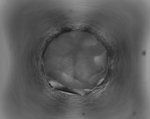 X0000101090913200807031723