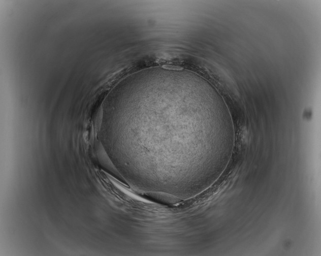 X0000101090914200807031723