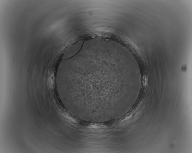 X0000101090915200807031723