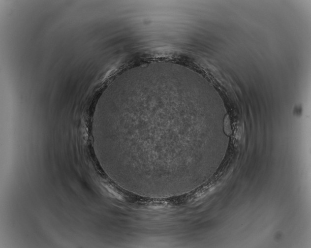 X0000101090916200807031723