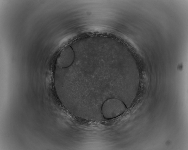 X0000101090918200807031723