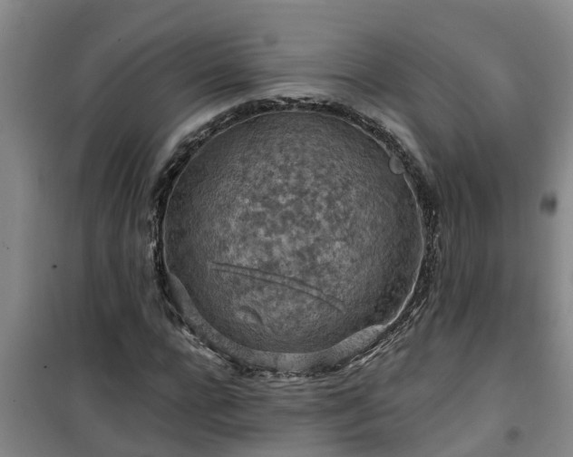 X0000101090920200807031723