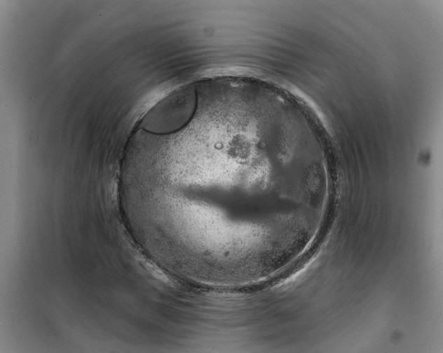 X0000101090921200807031723