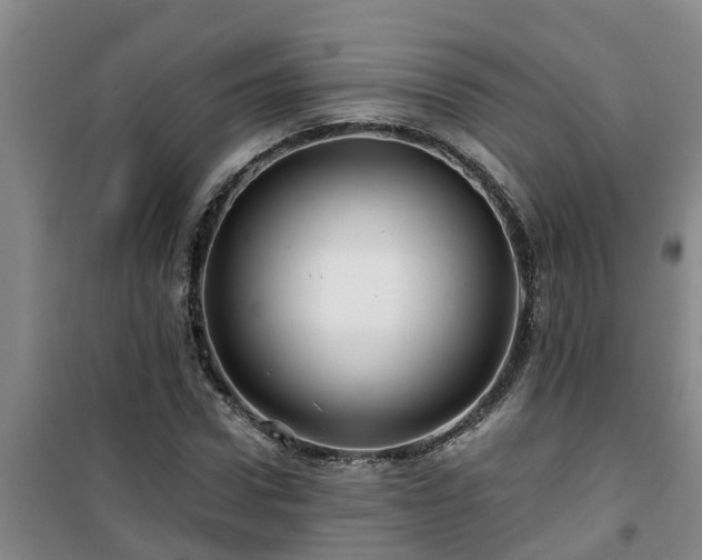 X0000101090922200807031723