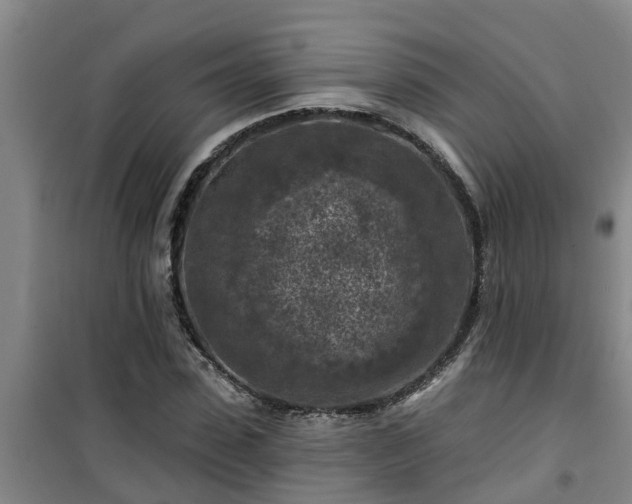 X0000101090923200807031723