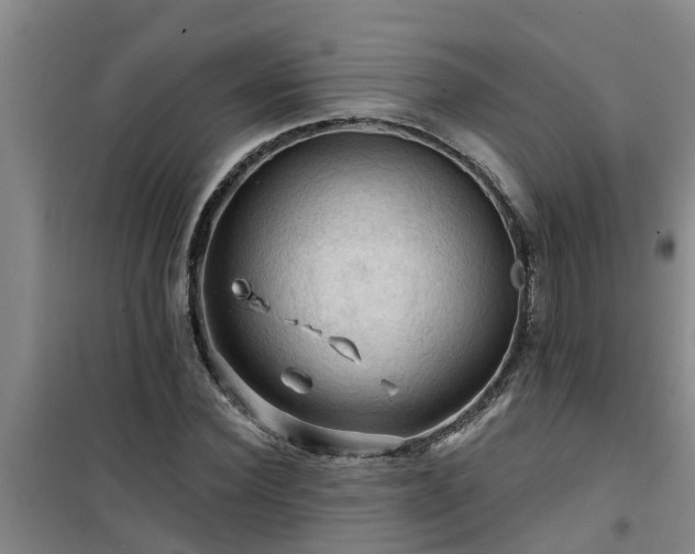 X0000101090924200807031723