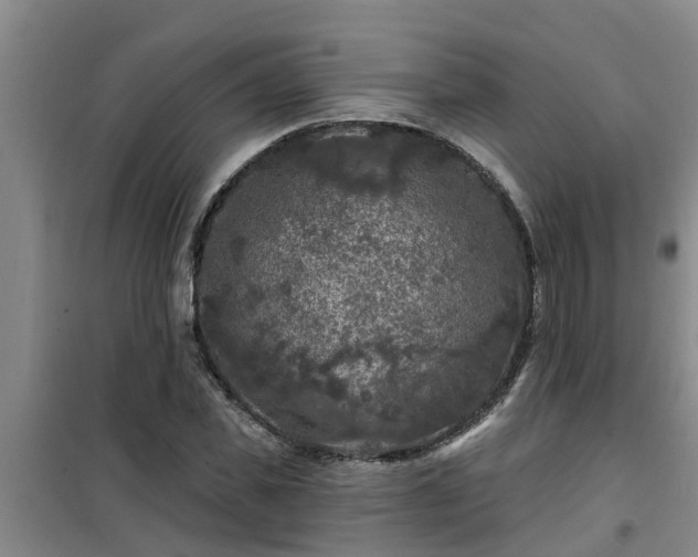 X0000101090925200807031723