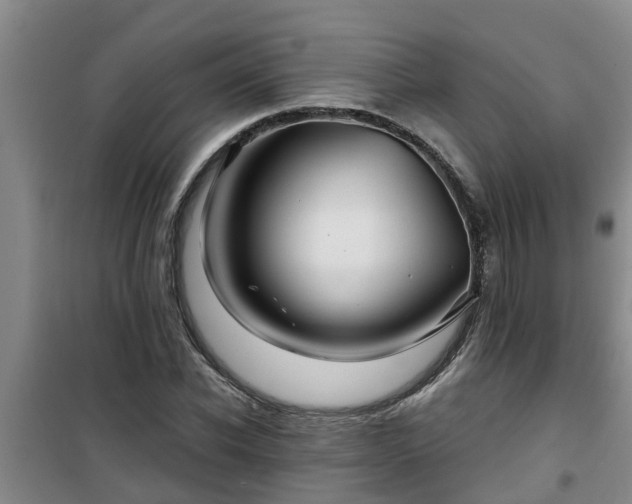 X0000101090926200807031723