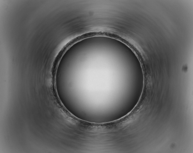 X0000101090927200807031723