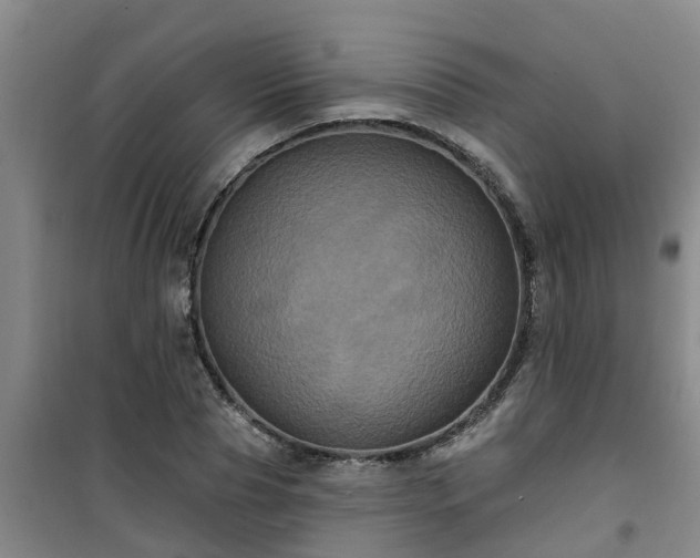 X0000101090929200807031723