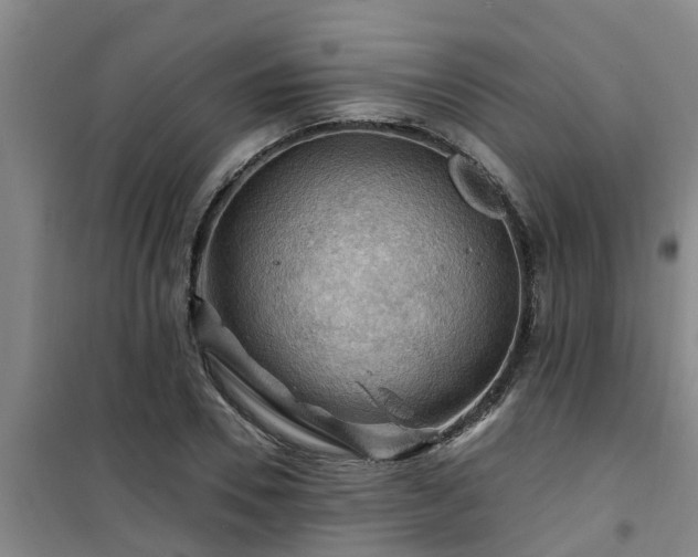 X0000101090930200807031723