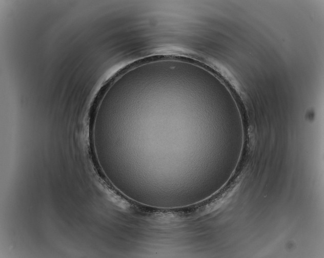 X0000101090931200807031723