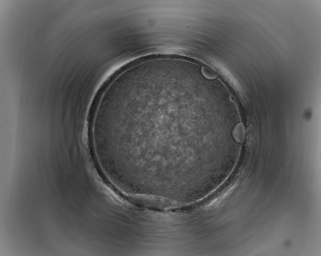 X0000101090932200807031723