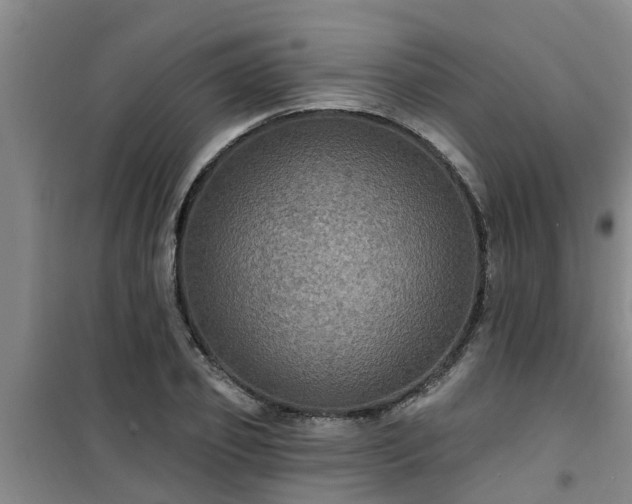 X0000101090933200807031723