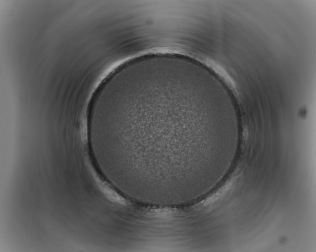 X0000101090934200807031723