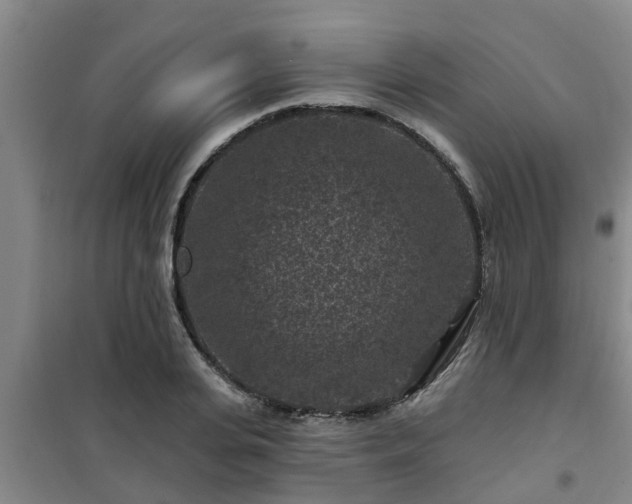 X0000101090935200807031723