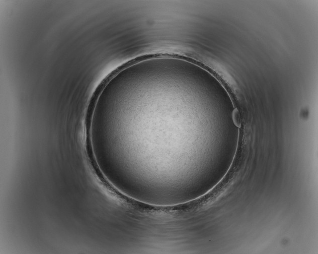 X0000101090936200807031723