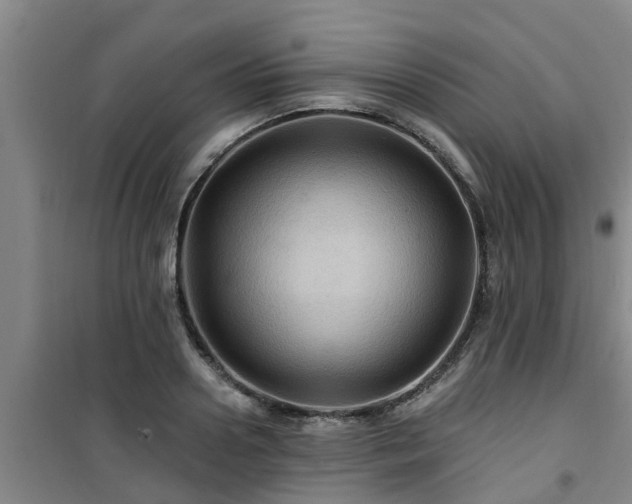 X0000101090938200807031723