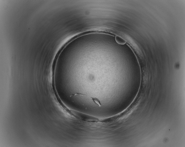 X0000101090940200807031723