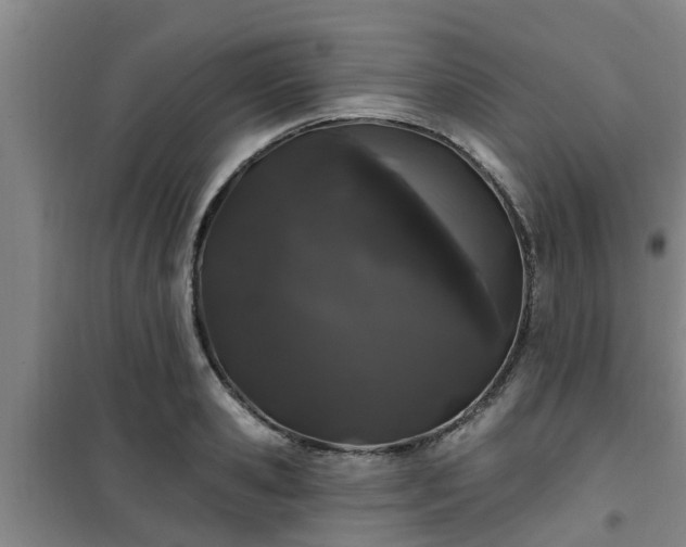 X0000101090941200807031723