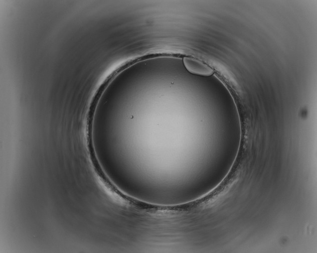 X0000101090942200807031723