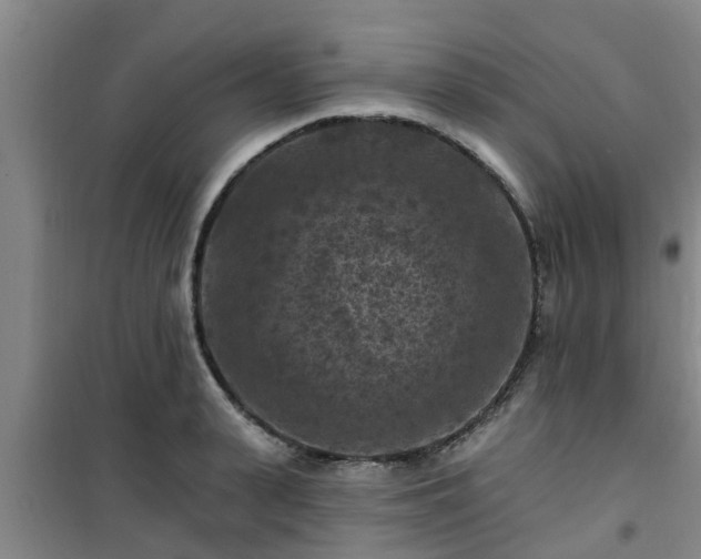 X0000101090943200807031723