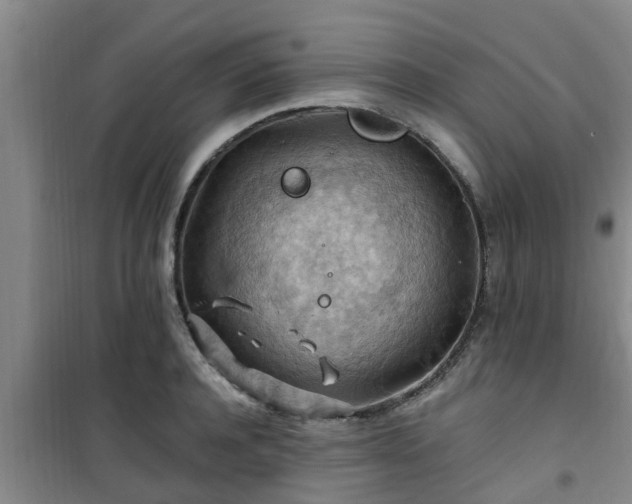 X0000101090944200807031723