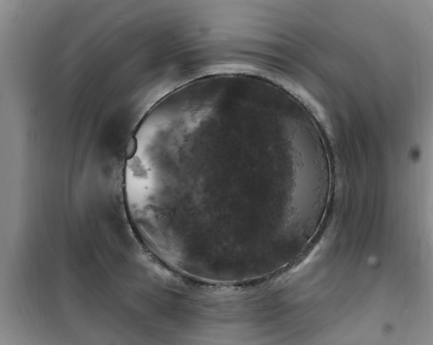 X0000101090945200807031723