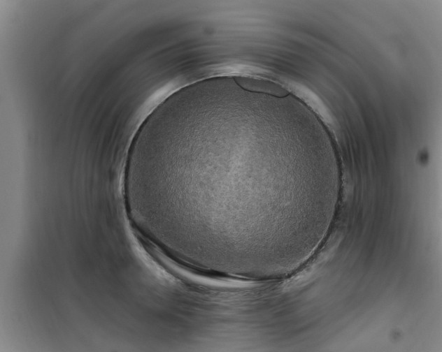 X0000101090946200807031723