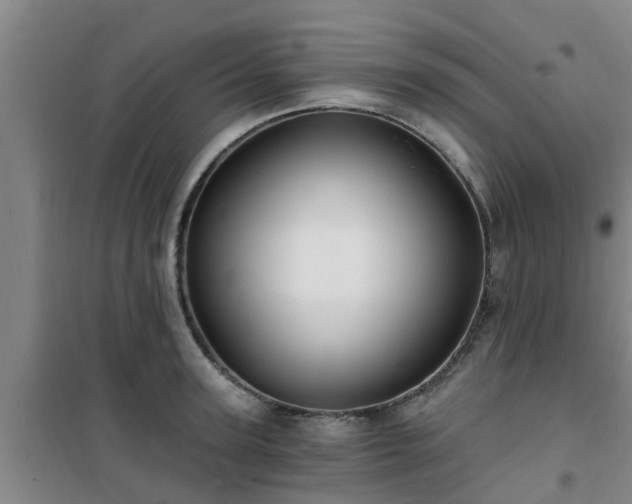 X0000101090947200807031723